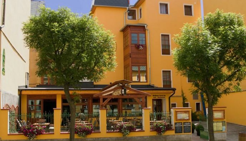 Wellness hotel Ida Františkovy Lázně